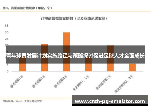 青年球员发展计划实施路径与策略探讨促进足球人才全面成长