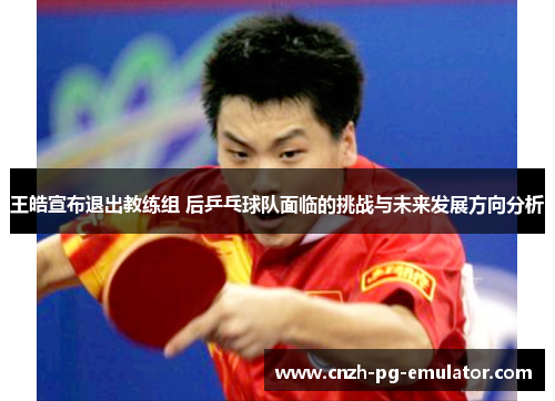 王皓宣布退出教练组 后乒乓球队面临的挑战与未来发展方向分析