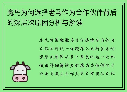 魔鸟为何选择老马作为合作伙伴背后的深层次原因分析与解读